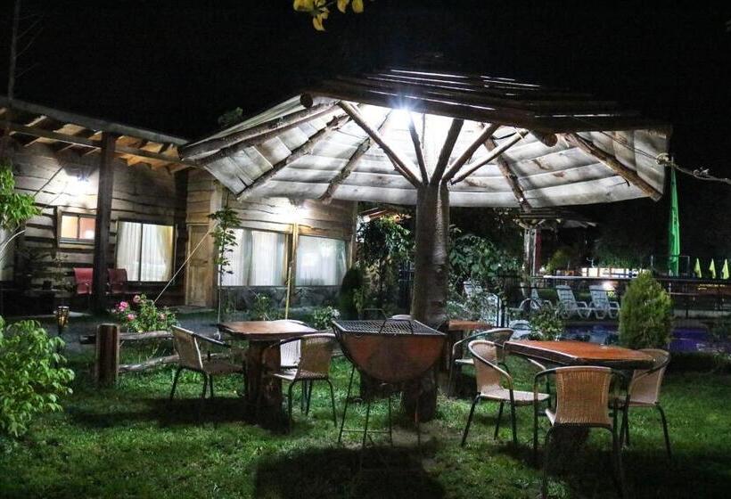 ペンション Cabañas Los Tilos