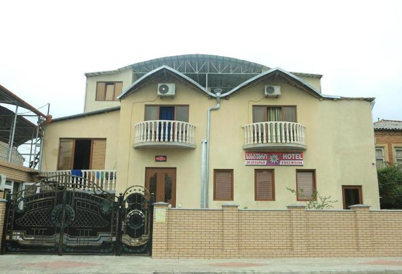 پانسیون Edelweiss