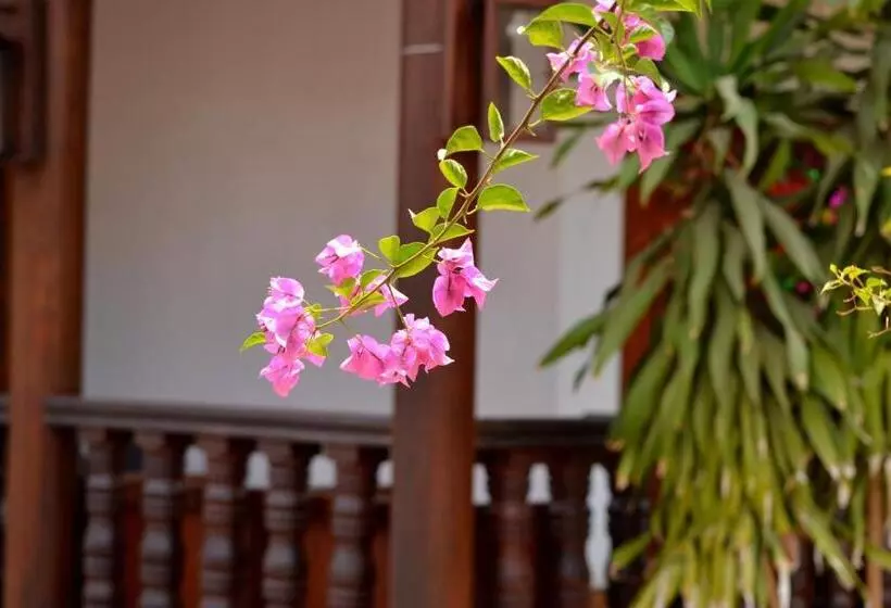 پانسیون Eureka Villas Siem Reap