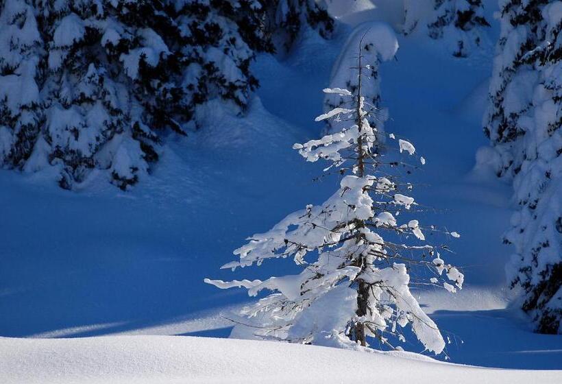 Пансион Haus Elisabeth