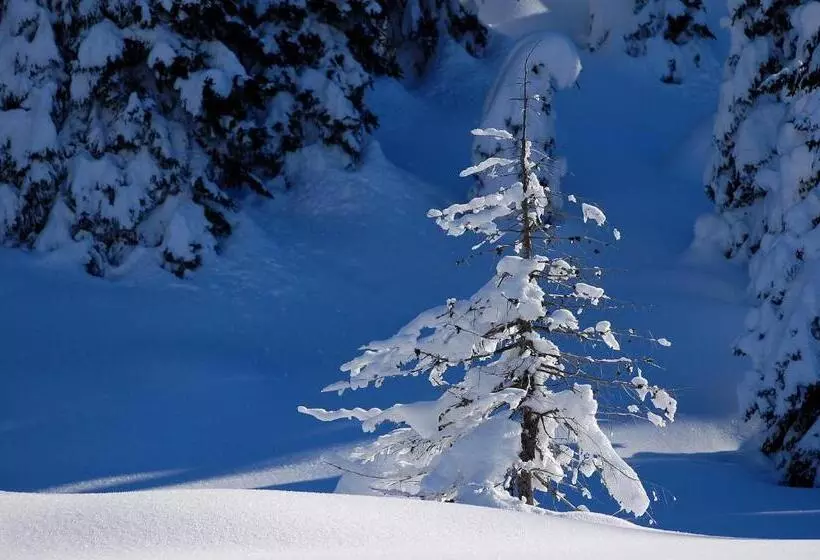 Majatalo Haus Elisabeth