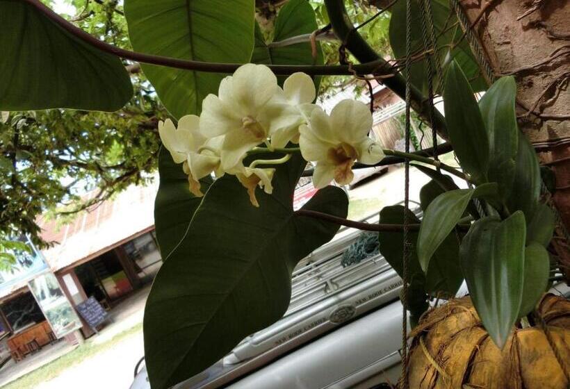 פנסיון Sythane Guesthouse