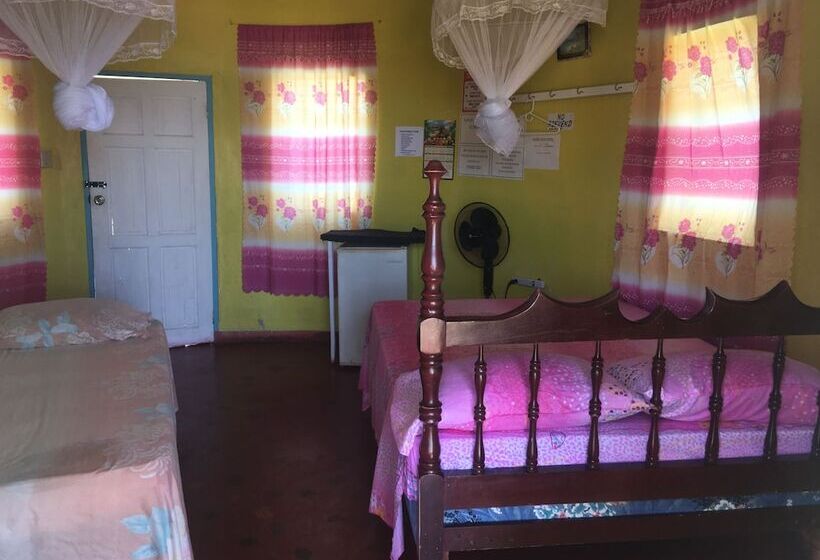 پانسیون Waikiki Guest House