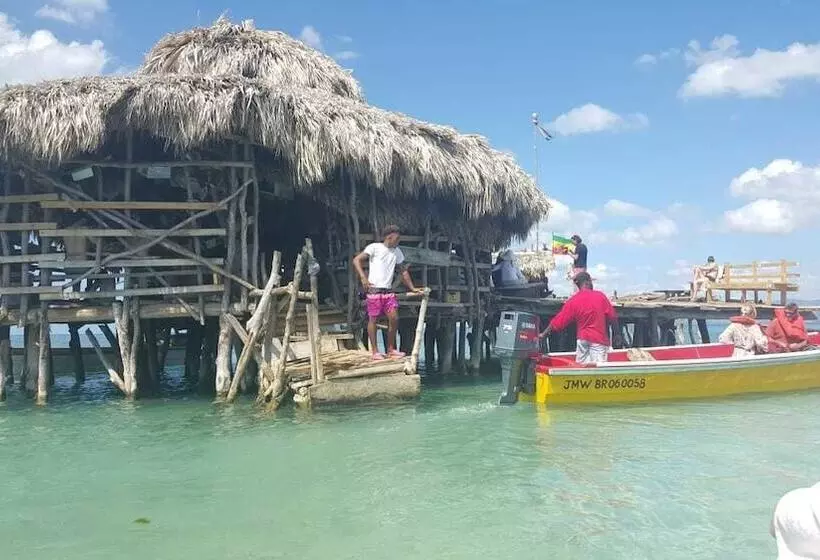 پانسیون Waikiki Guest House