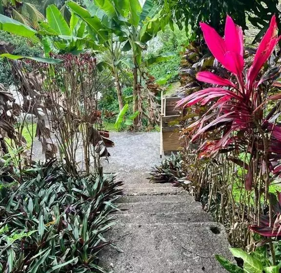 پانسیون Casa Del Vega A Little Peace Of Heaven