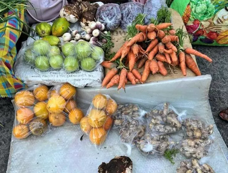 پانسیون Casa Del Vega A Little Peace Of Heaven