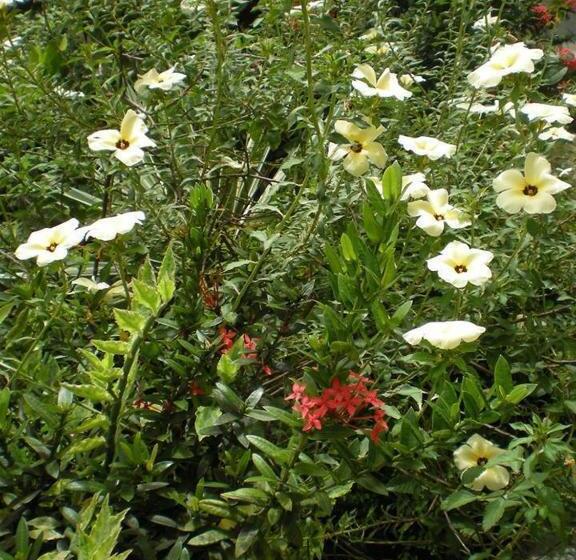 پانسیون Casa Del Vega A Little Peace Of Heaven