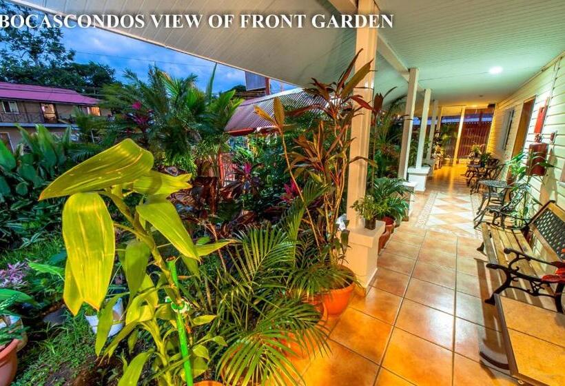 Aqua Point Condos Rentals