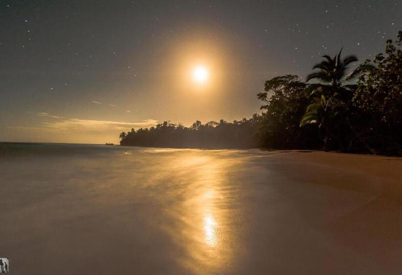 Aqua Point Condos Rentals