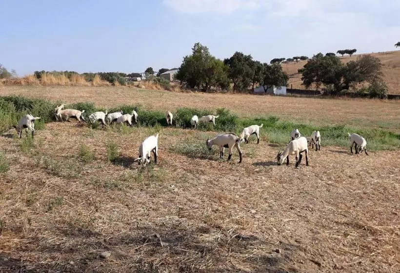 Hotelli Herdade Dos Mestres