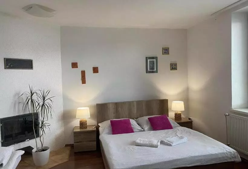 Majatalo Apartment Albi