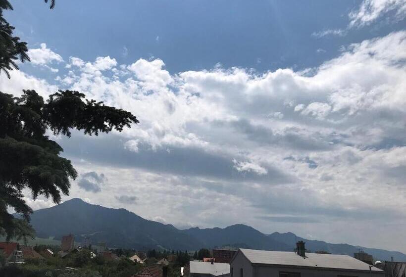 Пансион Apartment Albi