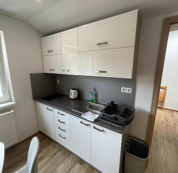 Пансион Apartment Albi