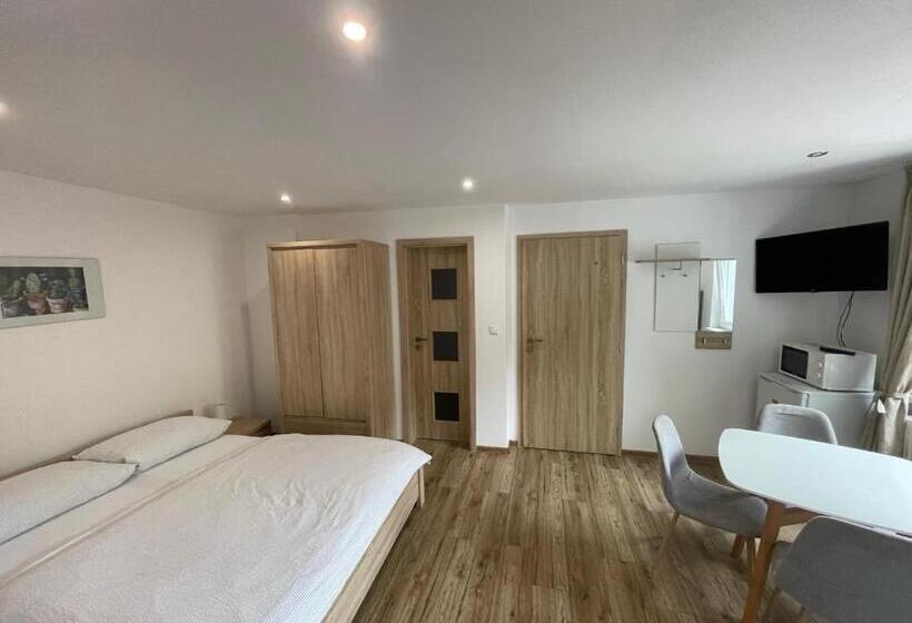 Пансион Apartment Albi