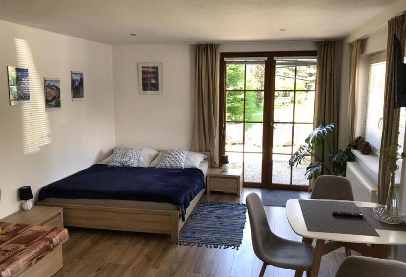 Пансион Apartment Albi