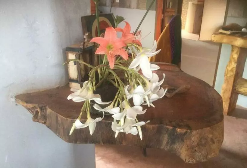 ペンション Blue Day