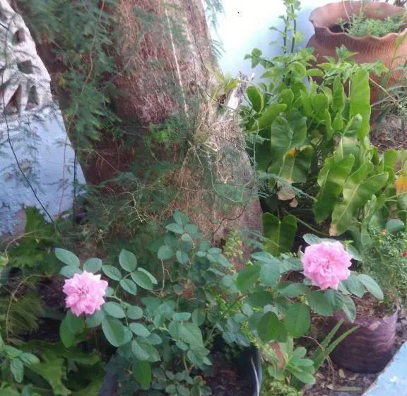 ペンション Blue Day