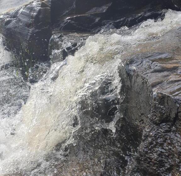 膳宿费 Cachoeira Dos Luis   Parque & Pousada