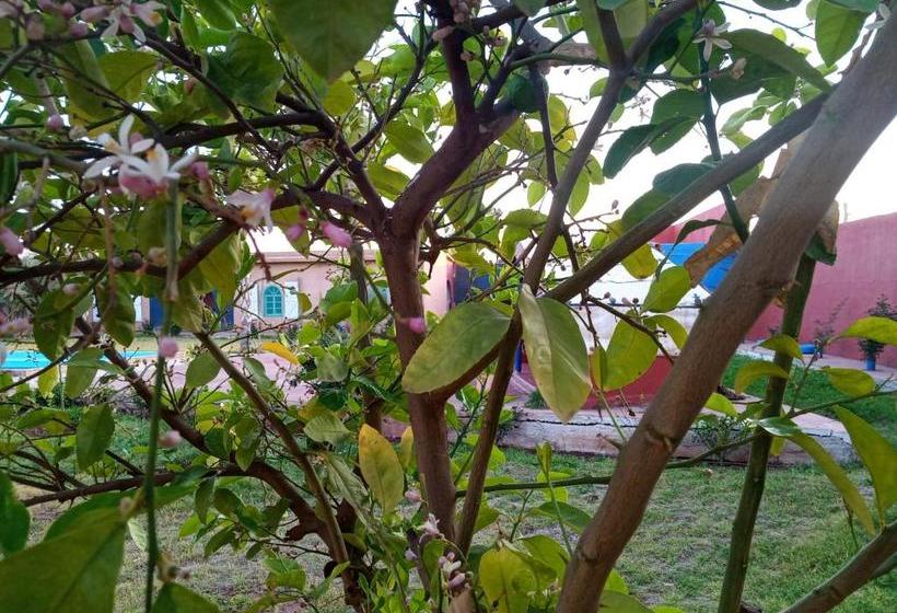 پانسیون Riad Villa Touka