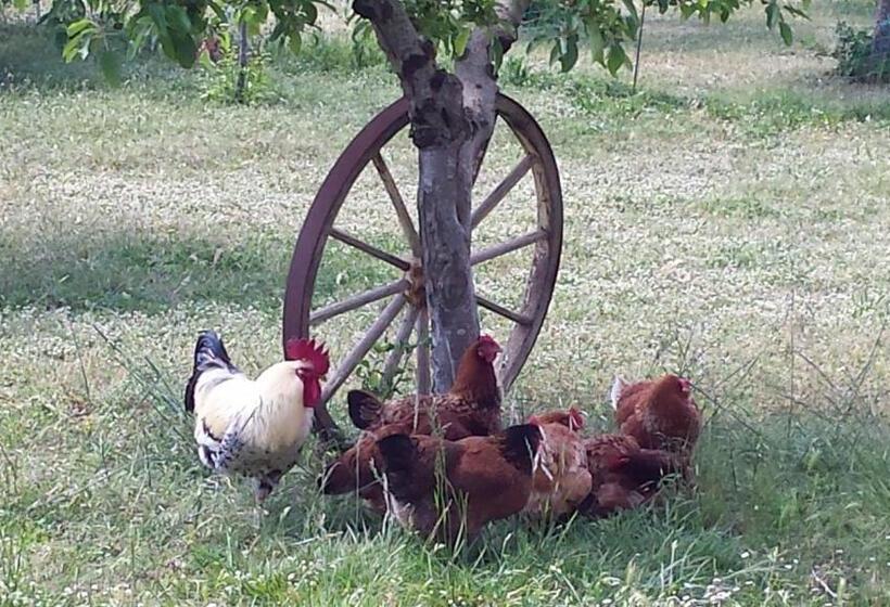 هتل Agriturismo Podere La Cascata