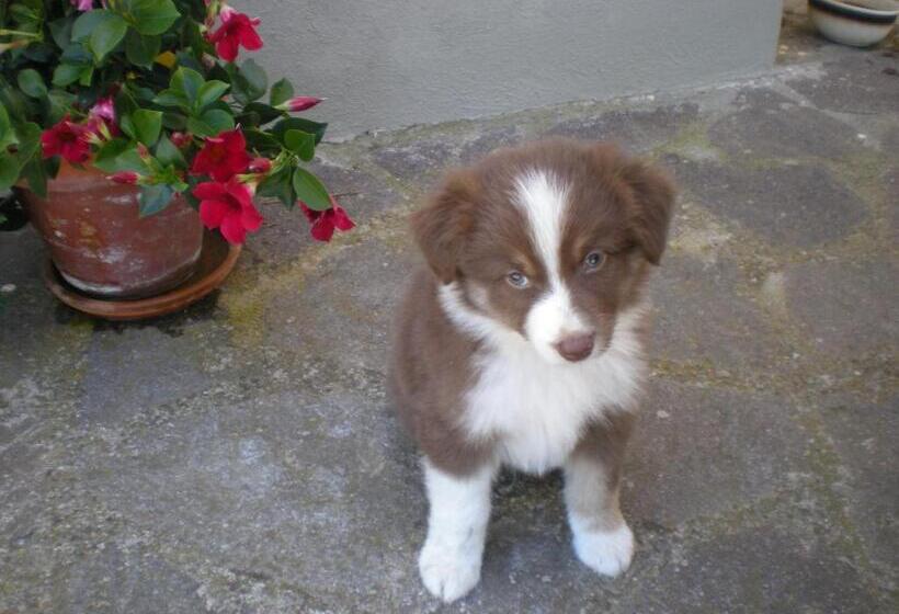 هتل Agriturismo Podere La Cascata