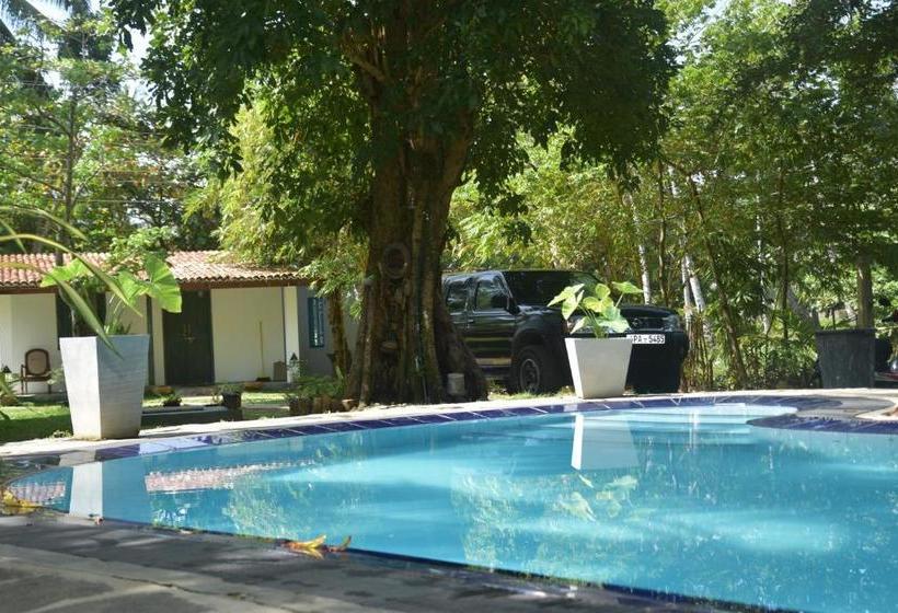 ペンション Sethra Villa Bentota