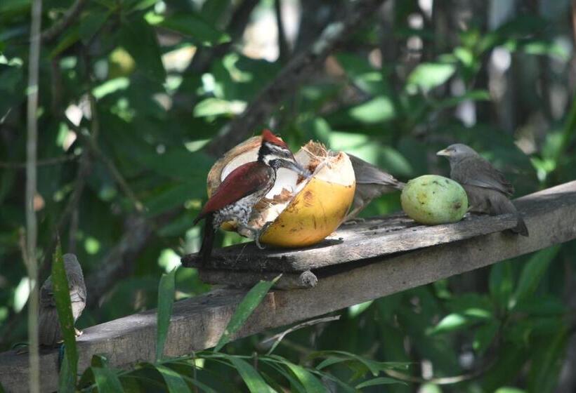ペンション Sethra Villa Bentota