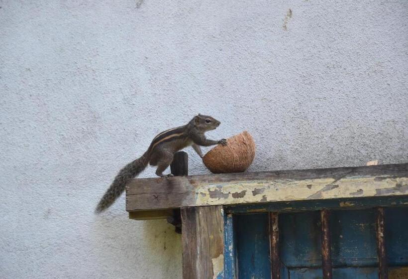 ペンション Sethra Villa Bentota