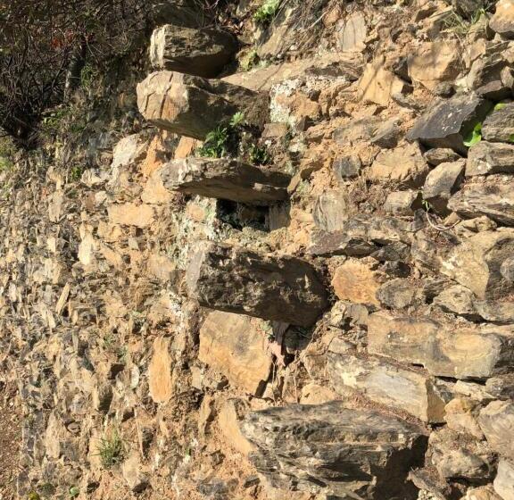 펜션 Zia Letizia Bed And Wine