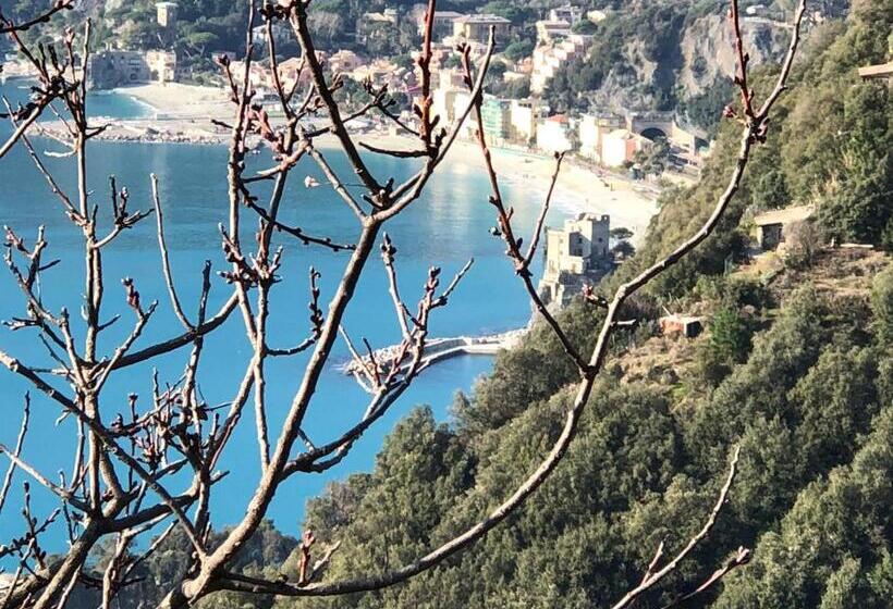 펜션 Zia Letizia Bed And Wine