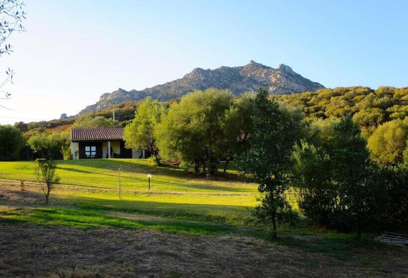 酒店 Agriturismo Sa Mendhula