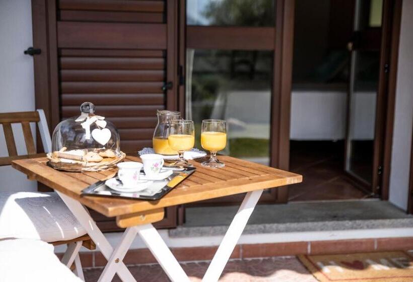 酒店 Agriturismo Sa Mendhula