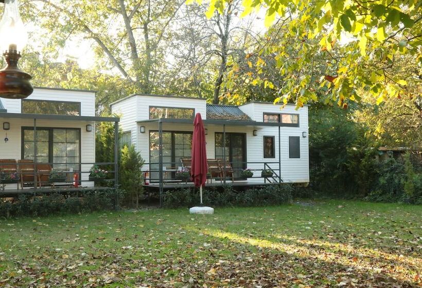 膳宿费 Aslibey Konagi   Adults Only