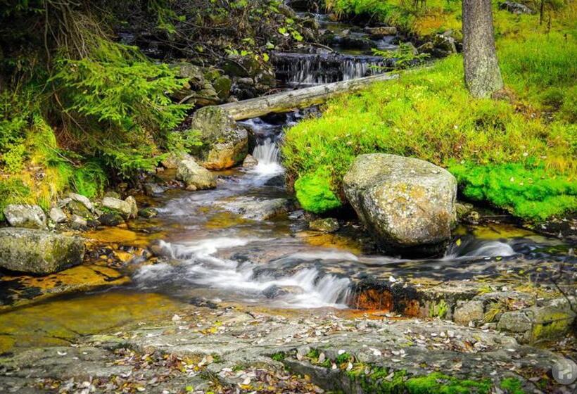 פנסיון Harrachovská Hacienda