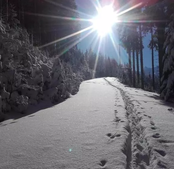 ホテル Großberghof