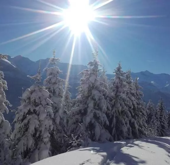 ホテル Großberghof