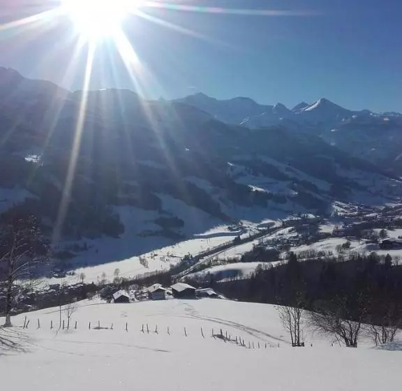 ホテル Großberghof