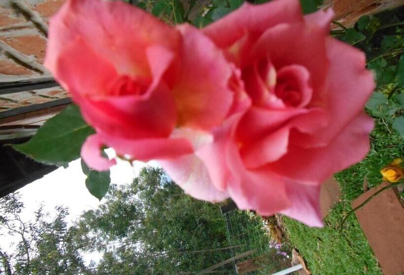 Пансион La Petite France