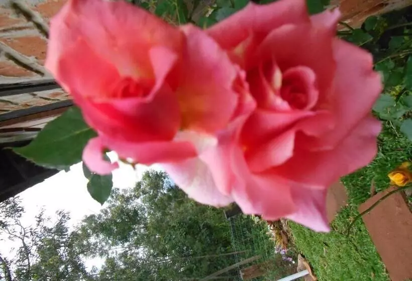 Majatalo La Petite France