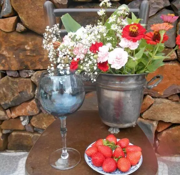 Majatalo La Petite France