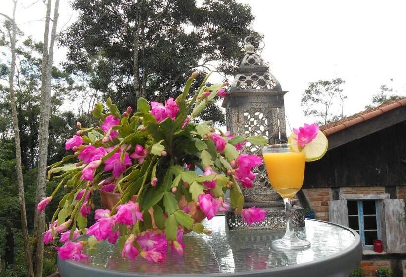 Пансион La Petite France