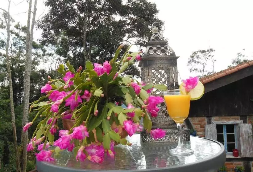 Majatalo La Petite France