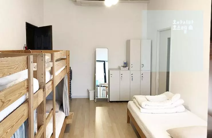 ペンション Oasita Hostel