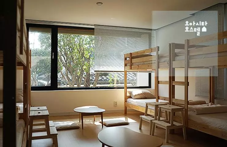 ペンション Oasita Hostel