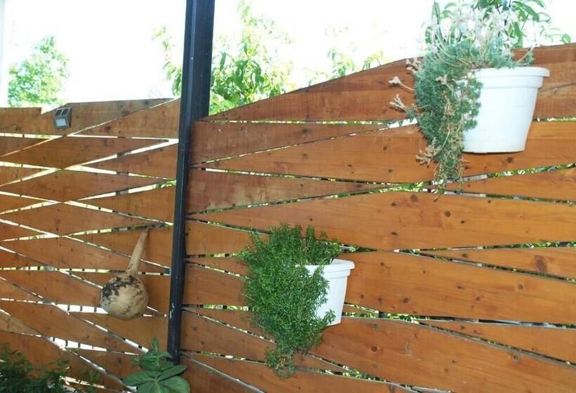 بنسيون Villa Mucho