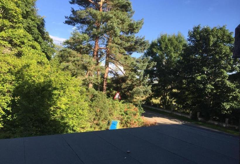 הוסטל The Shandwick Inn