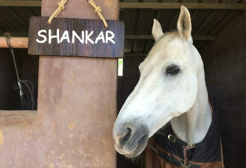 فندق Agroturismo Sa Marina   Adults Only