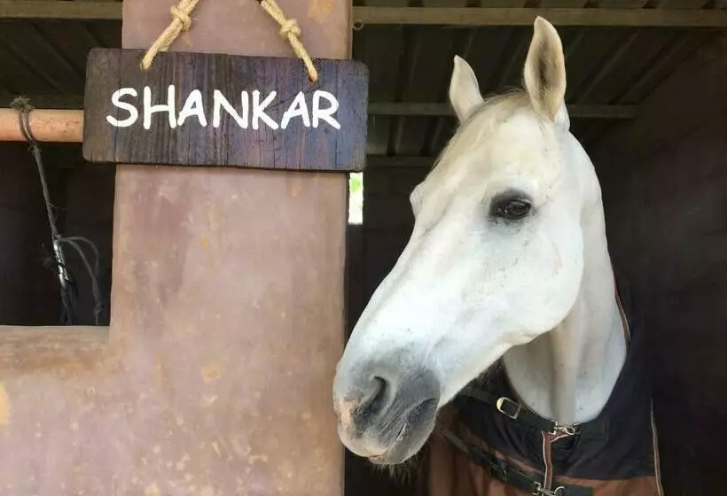 Hotelli Agroturismo Sa Marina   Adults Only