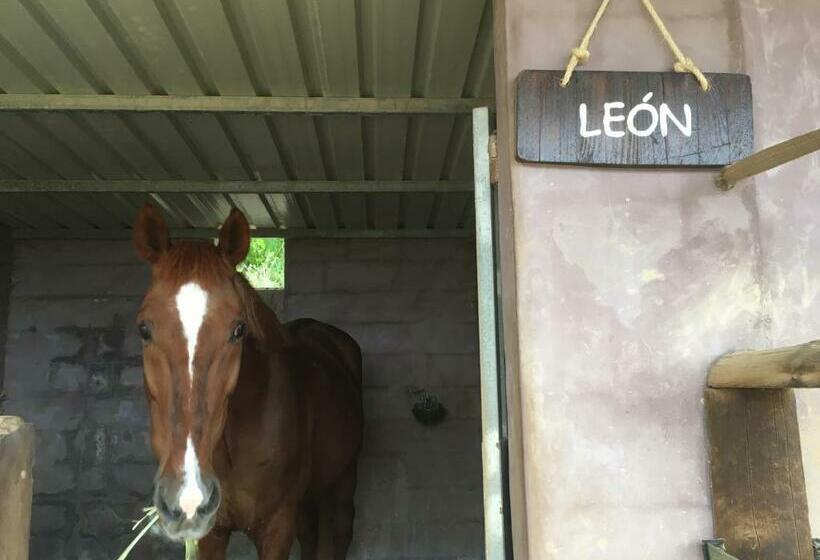 فندق Agroturismo Sa Marina   Adults Only