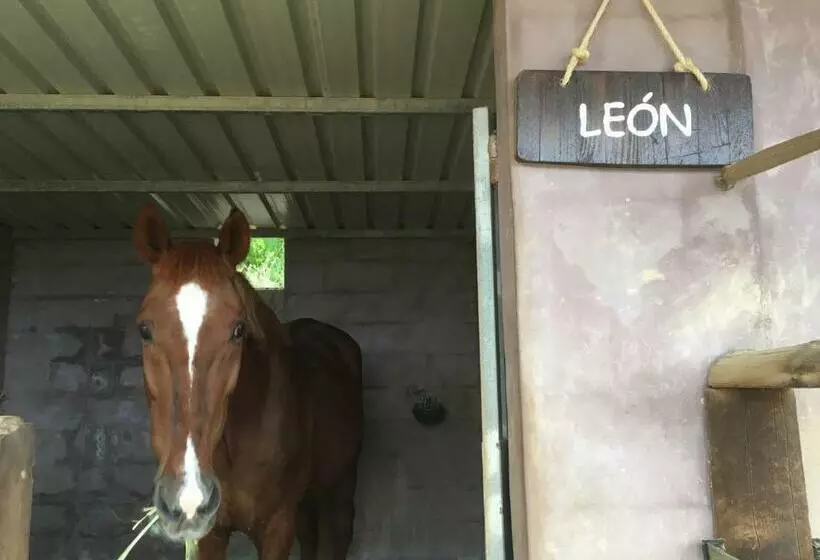 Hotelli Agroturismo Sa Marina   Adults Only